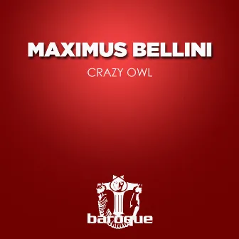 Crazy Owl by Maximus Bellini