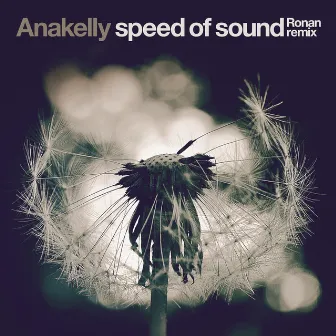 Speed of Sound (Ronan Remix) by Anakelly