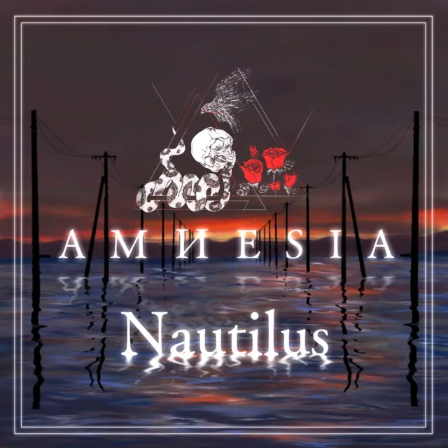 Nautilus