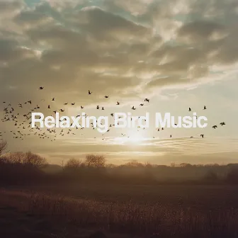 Relaxing Bird Music by Asian Zen Spa Music Collective