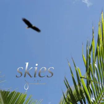 skies by 