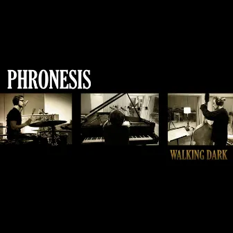 Walking Dark by Phronesis