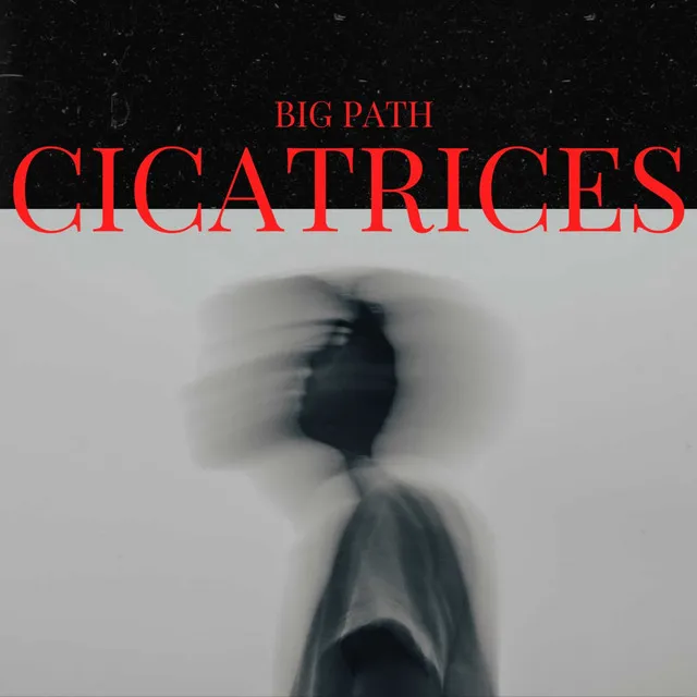 Cicatrices