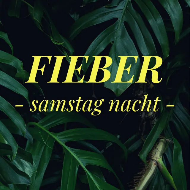 Samstag Nacht