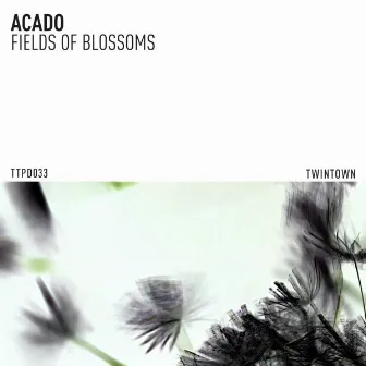 Fields of Blossoms by Acado