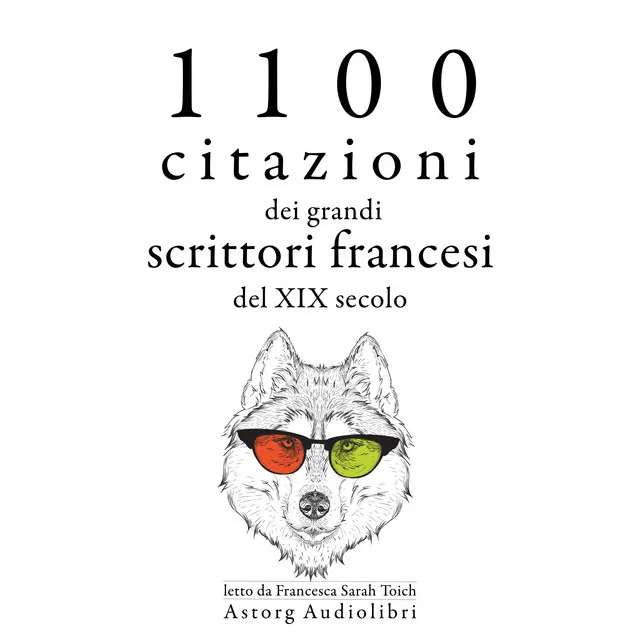 1100 citazioni dei grandi scrittori francesi del XIX secolo (Le migliori citazioni)