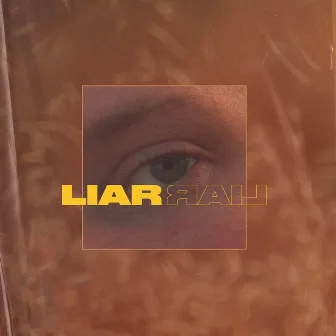 Liar by Swam Lewis