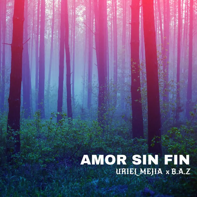 Amor Sin Fin