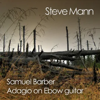 Samuel Barber Adagio On Ebow Guitar by Steve Mann