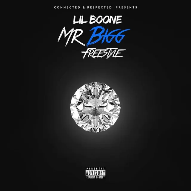 Mr. Bigg Freestyle