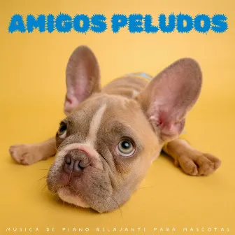 Amigos Peludos: Música De Piano Relajante Para Mascotas by 