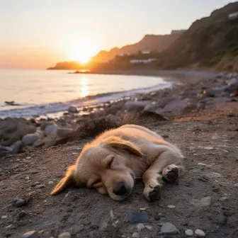 Oceáno Para Mascotas Felices: Olas Binaurales Serenas Para Mascotas by Sonidos costeros