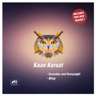 Everyday and Everynight / Bling by Kaan Kursat