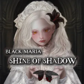 SHINE OF SHADOW by Black Maria