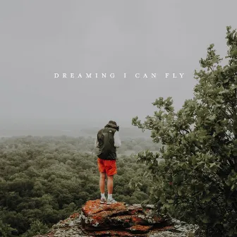 Dreaming I Can Fly by STATEOFLIVING