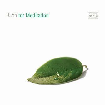 BACH FOR MEDITATION by Géza Oberfrank