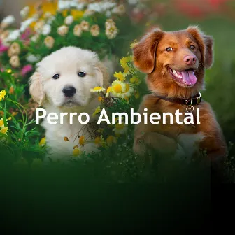 Perro Ambiental by Música instrumental para perros