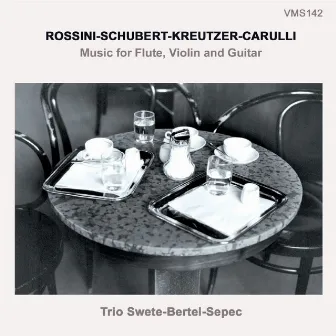 Rossini, Schubert, Kreutzer & Carulli (Music for Flute, Violin and Guitar) by Daniel Sepec