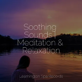 Soothing Sounds | Meditation & Relaxation by The Relaxation Principle