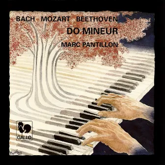 Bach: Partita No. 2 in C Minor, BWV 826 - Mozart: Fantasia in C Minor, K. 475 - Piano Sonata No. 14 in C Minor, K. 457 - Beethoven: Piano Sonata No. 8 in C Minor, Op. 13, 