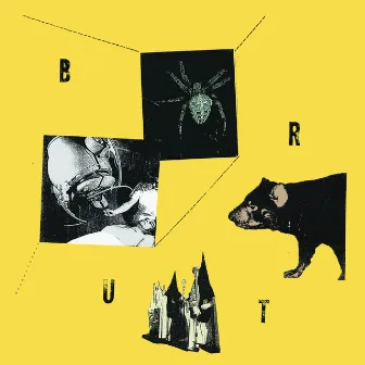 Brut by B.Rut