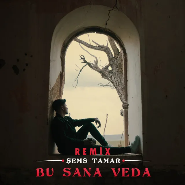 Bu Sana Veda - Remix