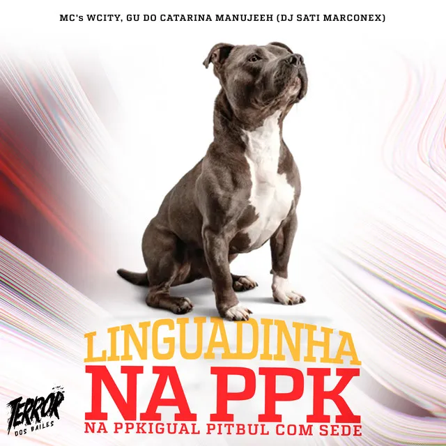 Linguadinha na PPK na PPKigual Pitbull com Sede (feat. MC Wcity)