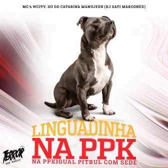 Linguadinha na PPK na PPKigual Pitbull com Sede (feat. MC Wcity) by Mc Gu do Catarina