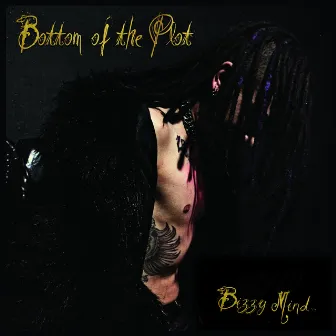 Bottom of the Plot by Bizzy Mind