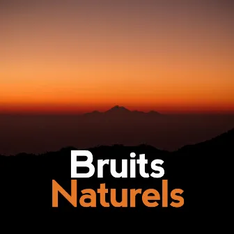 Bruits Naturels by Bruits naturels