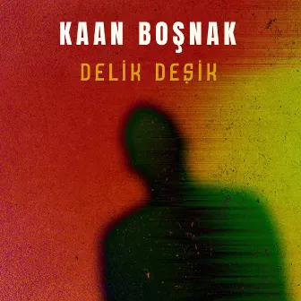 Delik Deşik by Kaan Boşnak