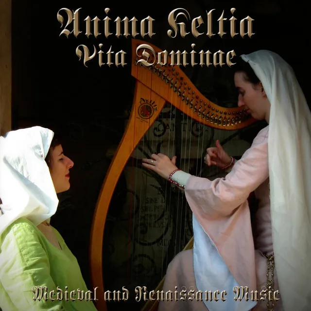 Give Me Your Hand - Irish Love Tune Performed on Harp