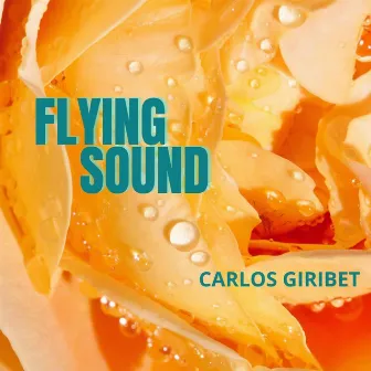 Flying Sound by Carlos Giribet