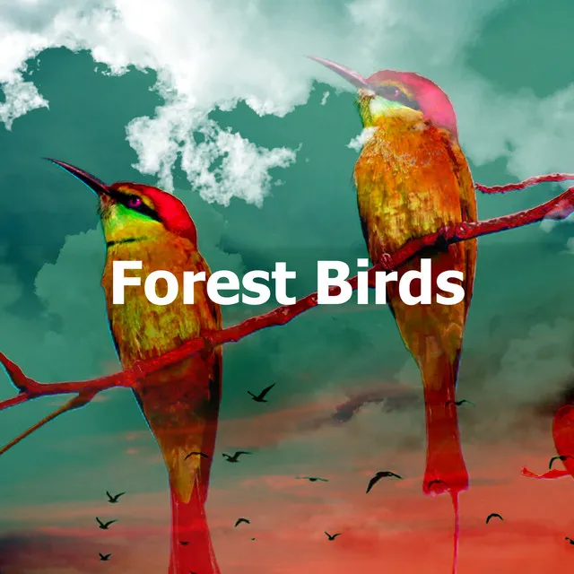 Forest Birds