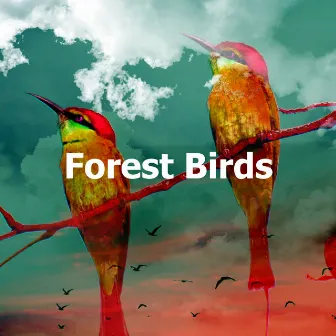 Forest Birds by Singing Birds