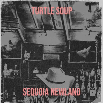 Turtle Soup by Sequoia Newland