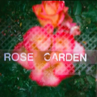 Rose Garden by Andhi O'Neill