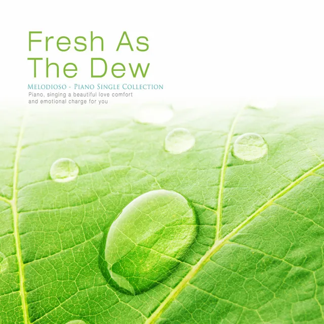 Fresh As The Dew