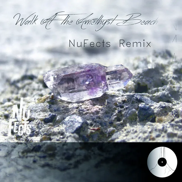 Walk at the Amethyst Beach - NuFects Remix