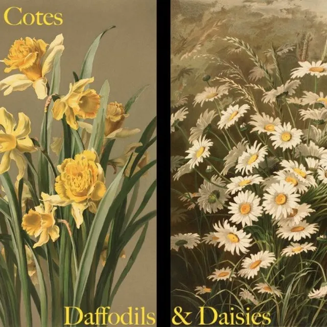 Daffodils & Daisies