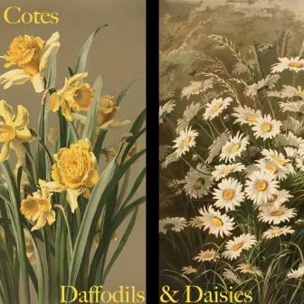 Daffodils & Daisies by Cotes