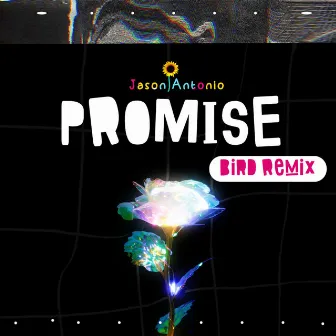 Promise (Remix) by Bird Beat