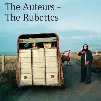 The Rubettes by The Auteurs