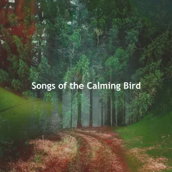 Songs of the Calming Bird by Rettenmaier