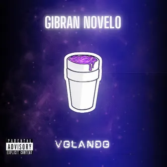 Volando by Gibran Novelo