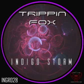 Indigo Storm by Trippin Fox