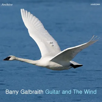 Guitar And the Wind by Barry Galbraith