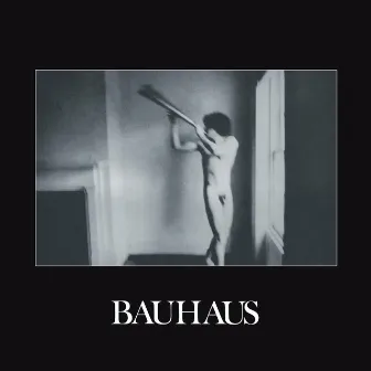 In the Flat Field by Bauhaus