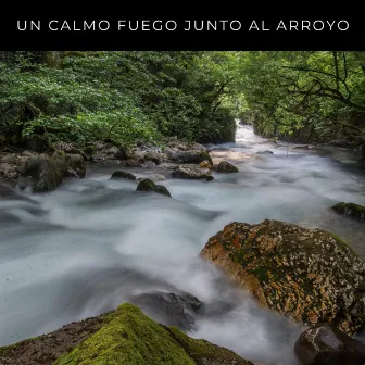 Un Calmo Fuego Junto Al Arroyo by My Cozy Heat