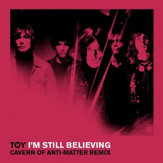 I'm Still Believing (C.O.A.M Rremix) by TOY